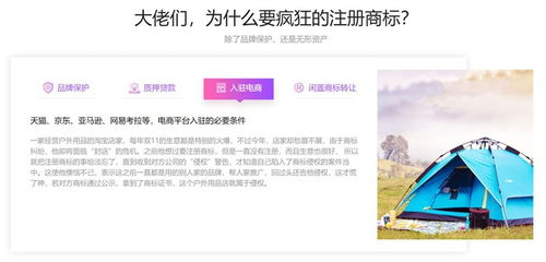 向企而创企业服务 一站式工商注册与网络技术服务解决方案及费用解析