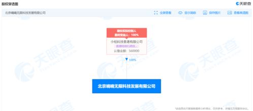 滴滴关联公司申请 新桔 新桔代驾 商标
