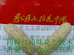 四粒红卤味花生技术转让全攻略 掌握核心工艺，开启创业之路
